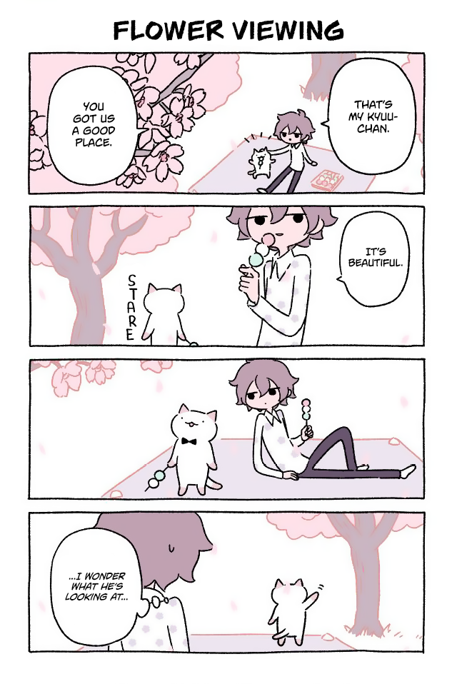 Wonder Cat Kyuu-chan Chapter 33 1